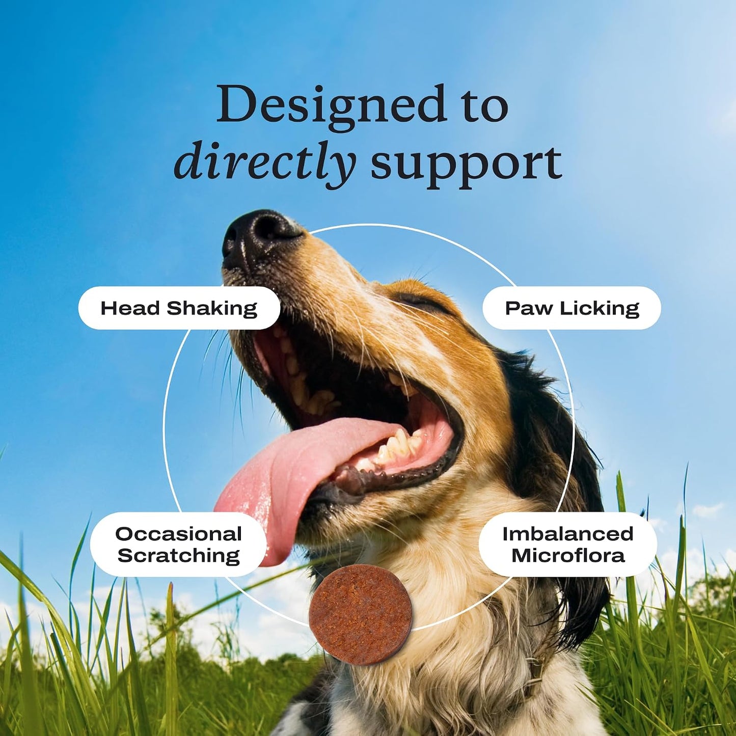 Allergy & Immune Chews - dog probiotics for seasonal allergies
