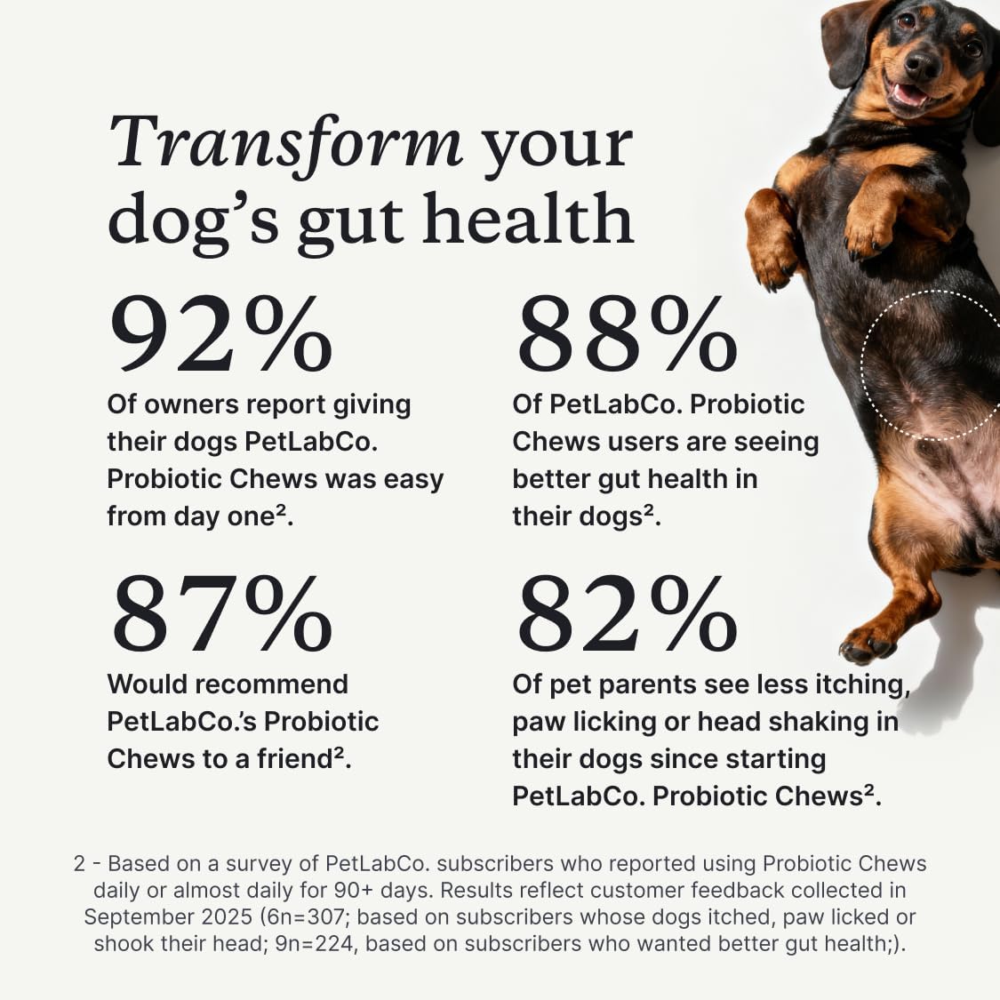 Probiotics for dogs – soft chews for gut & digestive health