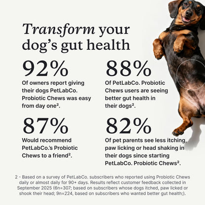 Probiotics for dogs – soft chews for gut & digestive health